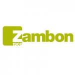 Zambon Italia srl