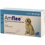 AMFLEE SPOT ON 3 PIPETTE 268MG