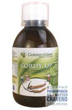 Cordy up junior 250ml Gorden Wave